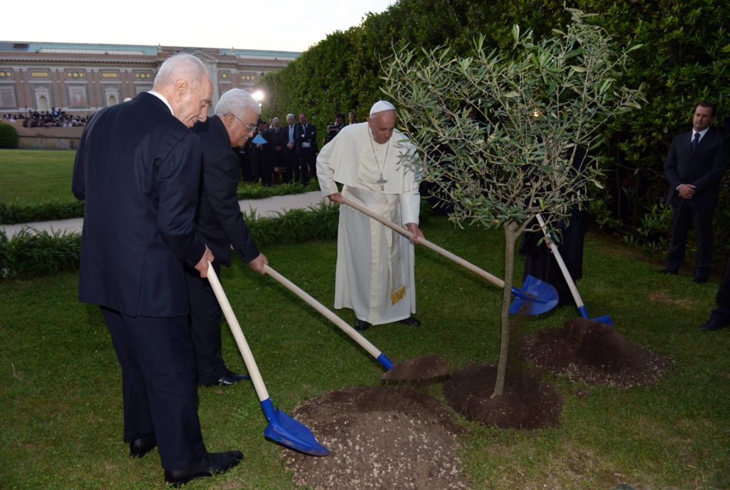 President Peres President Abbas and Pope Francis plant an olive tree 